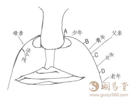 面相图解：法令相法绝学