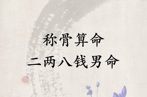 称骨算命二两八钱男命解释详细