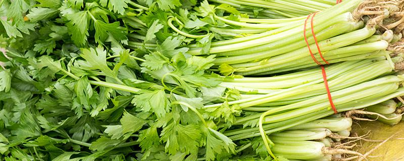 梦见芹菜有什么寓意 梦见芹菜代表什么预兆